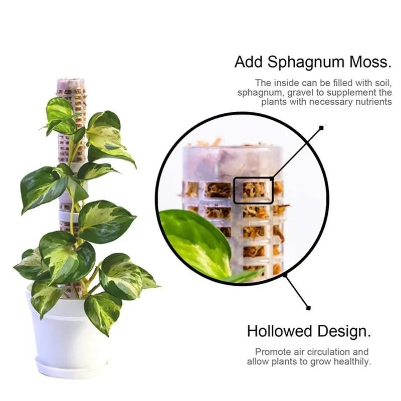 Sphagnum Moss Dry - โครงไม้เลื้อยสำหรับพืช โครงตาข่ายพลาสติก ไม้ค้ำยันต้นไม้ เสาพลาสติกสำหรับมอส ขาตั้งกระถางต้นไม้ในร่ม อุปกรณ์ตกแต่งสวนสำหรับต้นไม้เลื้อยสีเขียว