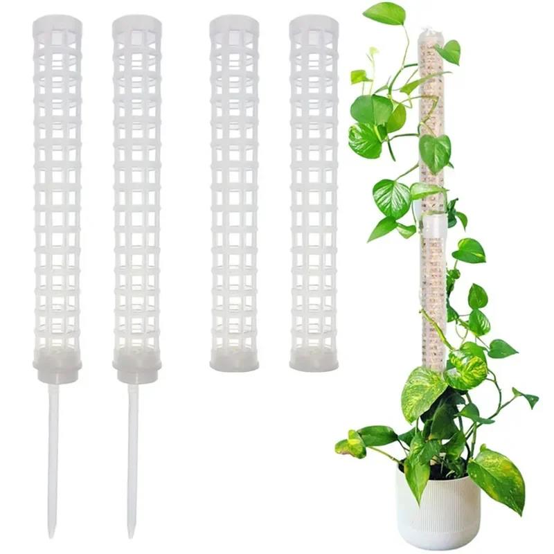 ไม้ค้ำยันพลาสติกสำหรับพืชเลื้อ - Sphagnum Moss Dry บทวิจารณ์และราคา