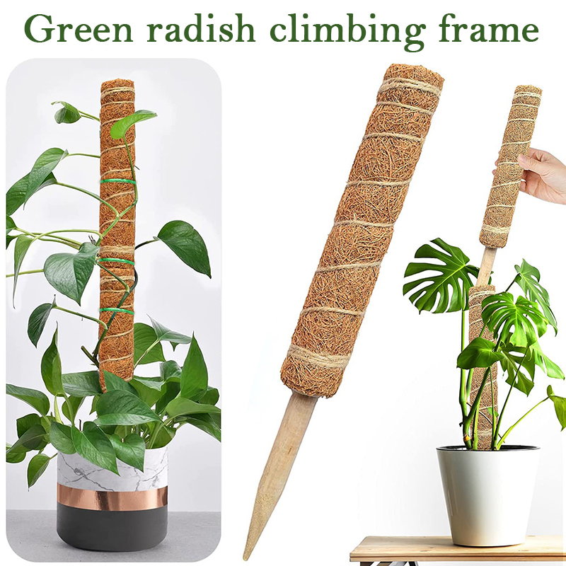 เสาต้นมะพร้าวสำหรับพืชเลื้อยขน - Sphagnum Moss Dry บทวิจารณ์และราคา