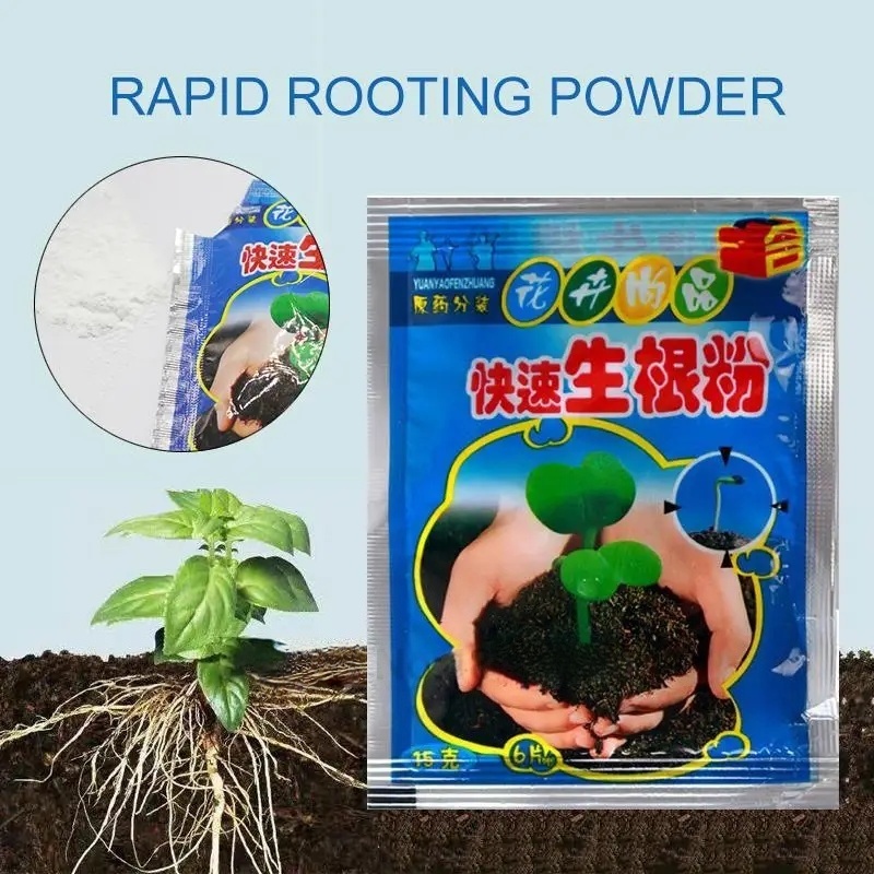 ผงเร่งราก 5 ชิ้น สารเร่งรากสำห - Root Stimulator Liquid บทวิจารณ์และราคา