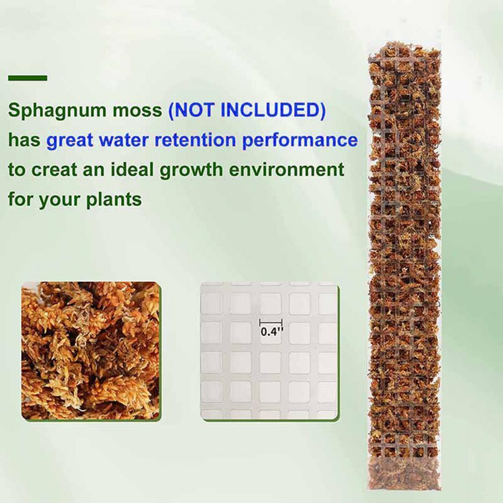 เสาไม้สนสำหรับพืชเลื้อย อุปกรณ - Sphagnum Moss Dry บทวิจารณ์และราคา